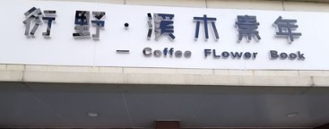 深圳: 溪木質素年