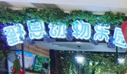 深圳遊戲機中心/室內遊樂場: 野恩動物園