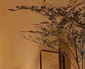 珠海髮型屋 Salon: 雪瑞爾健康養髮主題館